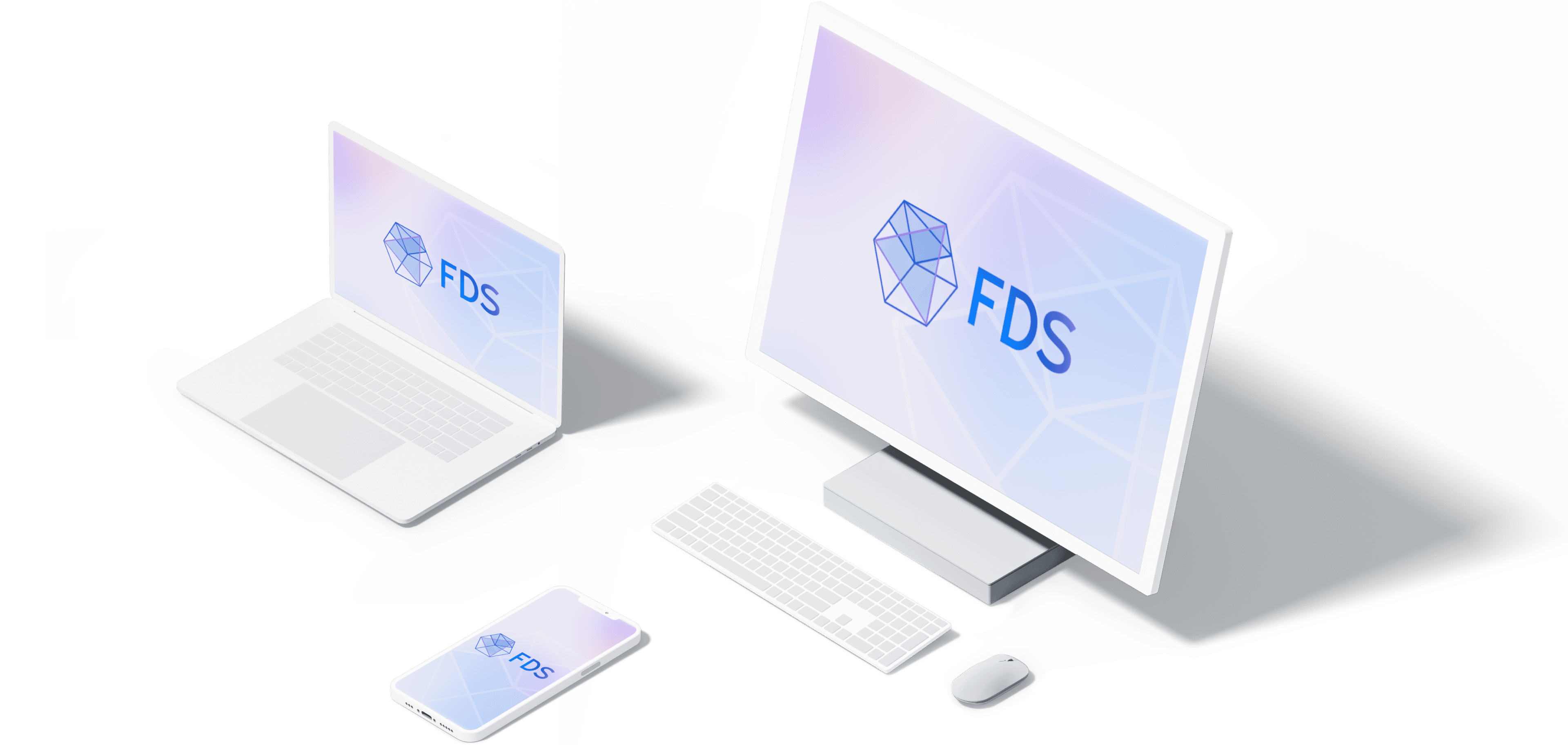 fds product image